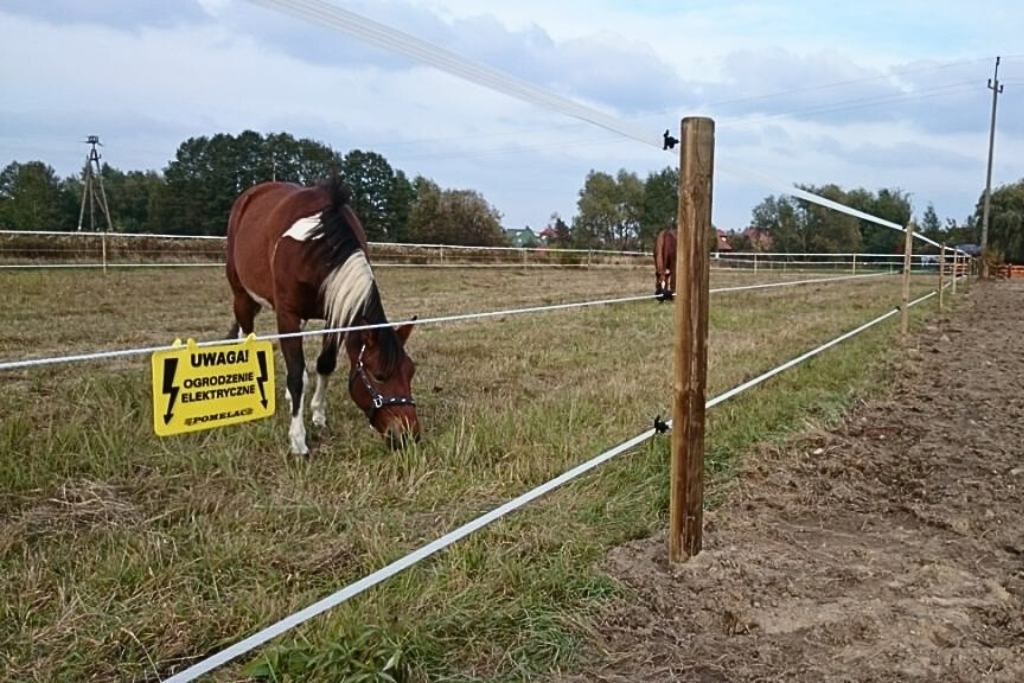 Ogrodzenie elektryczne dla koni z szeroką taśmą na padoku