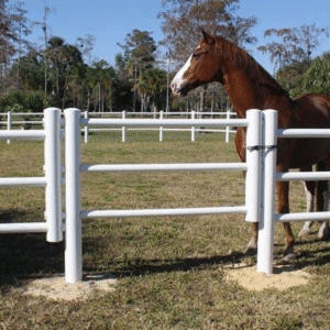 Pojedyncza brama ogrodzenia EquiSafe ogrodzenie dla koni pastwisko