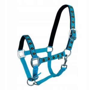 Kantar turkusowy dla konia kuca z podszyciem