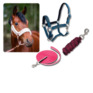 Kantary / Uwiązy / Lonże