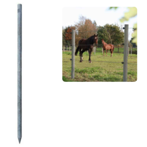 słupek hanit 6 x 200 cm do ogrodzenia elektrycznego
