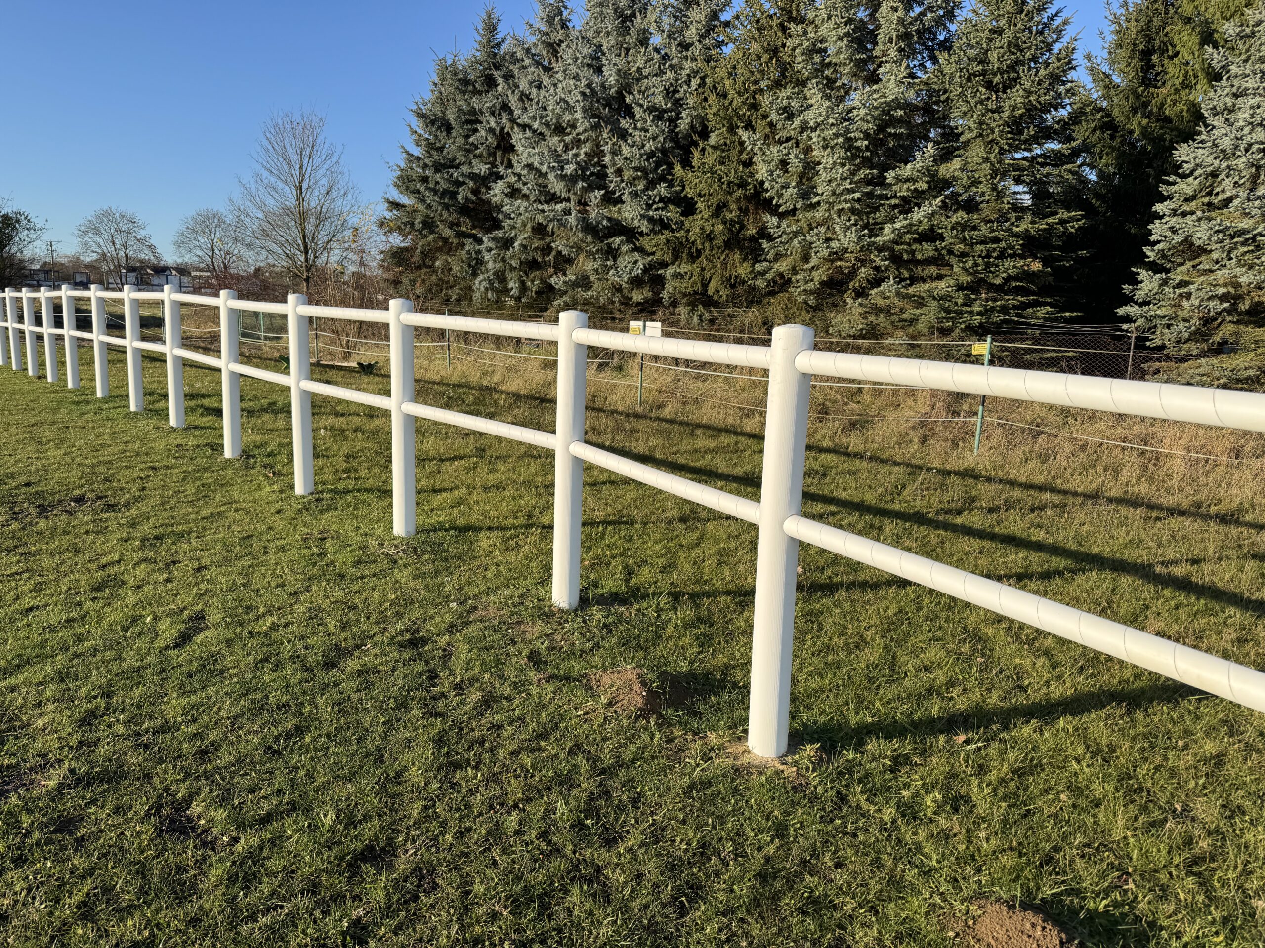 ogrodzenia EquiSafe dla koni na padoku przy stajni